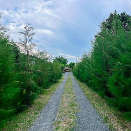 North Pine Forest Homestay บ้านไม้สนโฮมสเตย์ Ban Mae Pong Zewnętrze zdjęcie