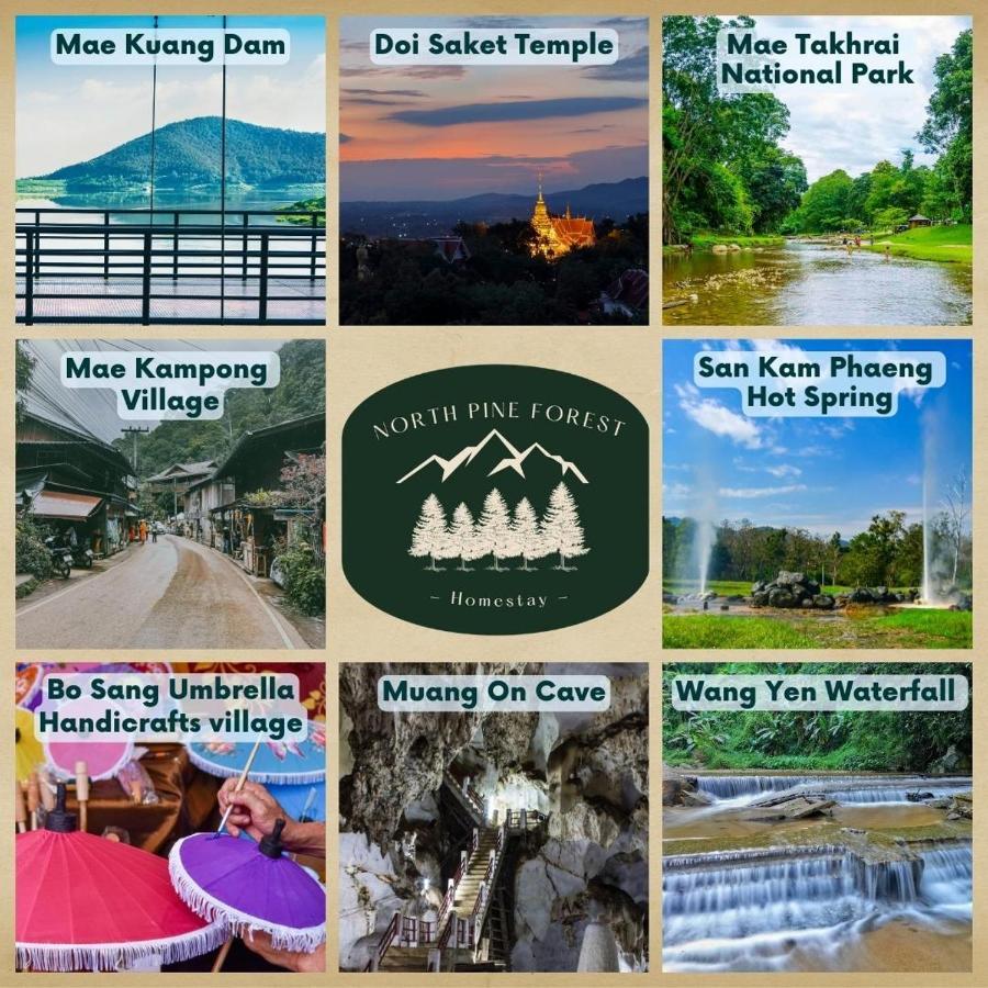 North Pine Forest Homestay บ้านไม้สนโฮมสเตย์ Ban Mae Pong Zewnętrze zdjęcie