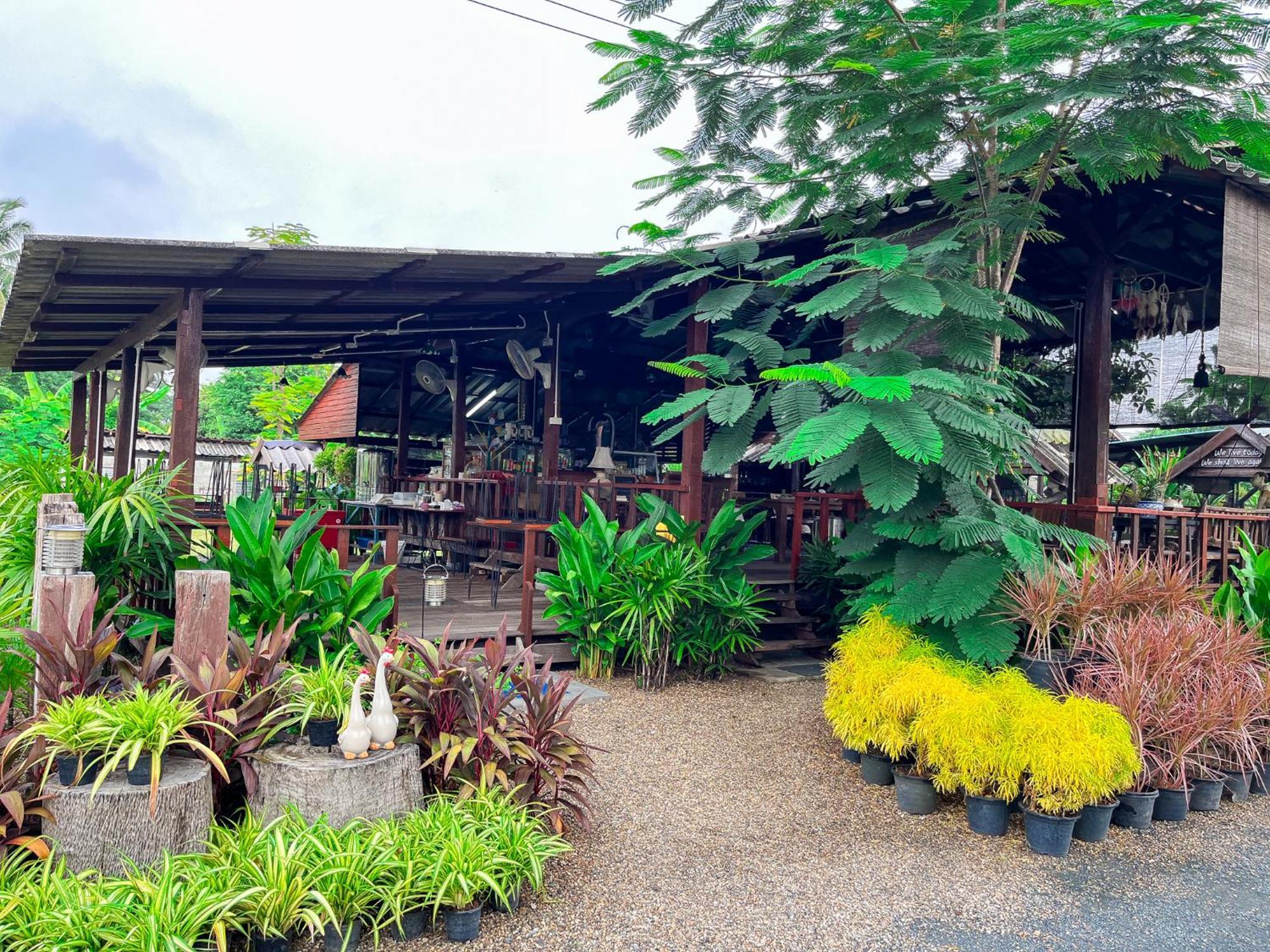 North Pine Forest Homestay บ้านไม้สนโฮมสเตย์ Ban Mae Pong Zewnętrze zdjęcie