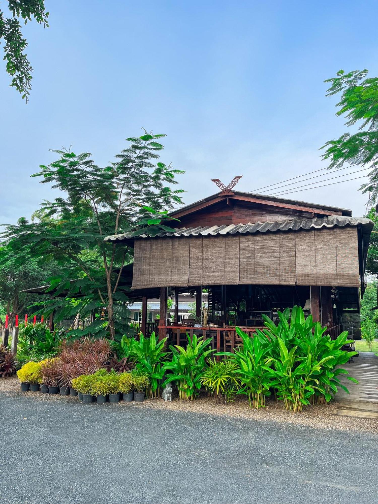 North Pine Forest Homestay บ้านไม้สนโฮมสเตย์ Ban Mae Pong Zewnętrze zdjęcie