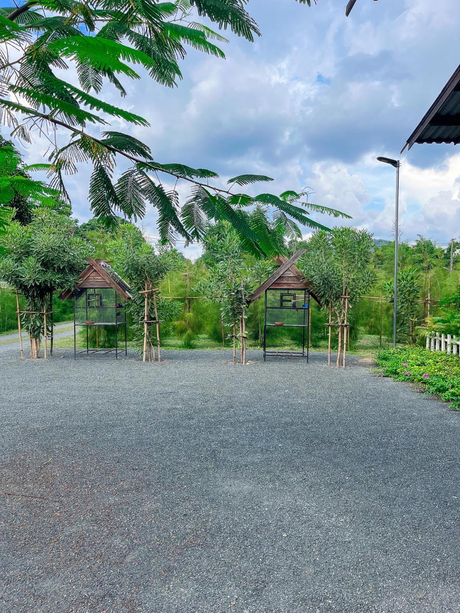 North Pine Forest Homestay บ้านไม้สนโฮมสเตย์ Ban Mae Pong Zewnętrze zdjęcie