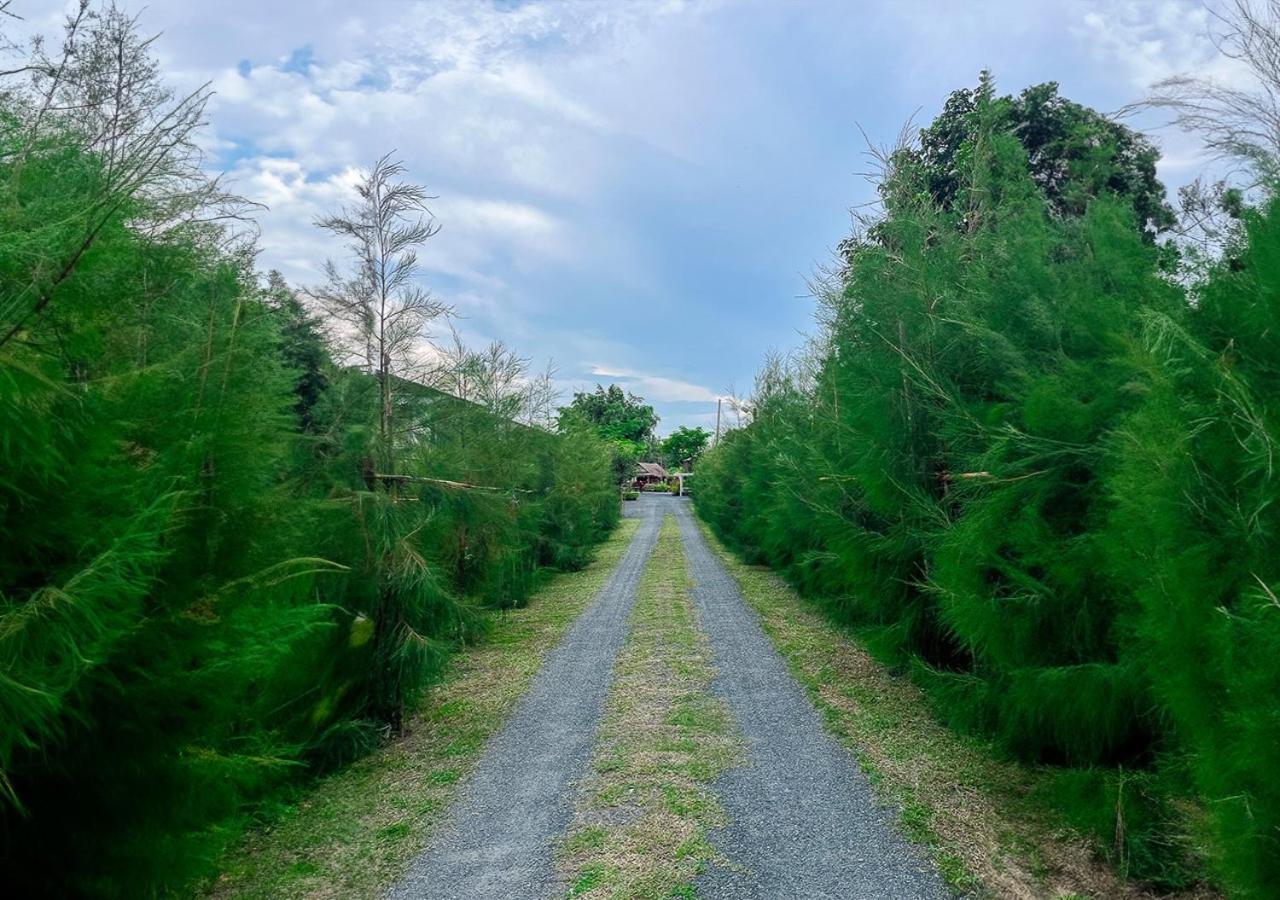 North Pine Forest Homestay บ้านไม้สนโฮมสเตย์ Ban Mae Pong Zewnętrze zdjęcie