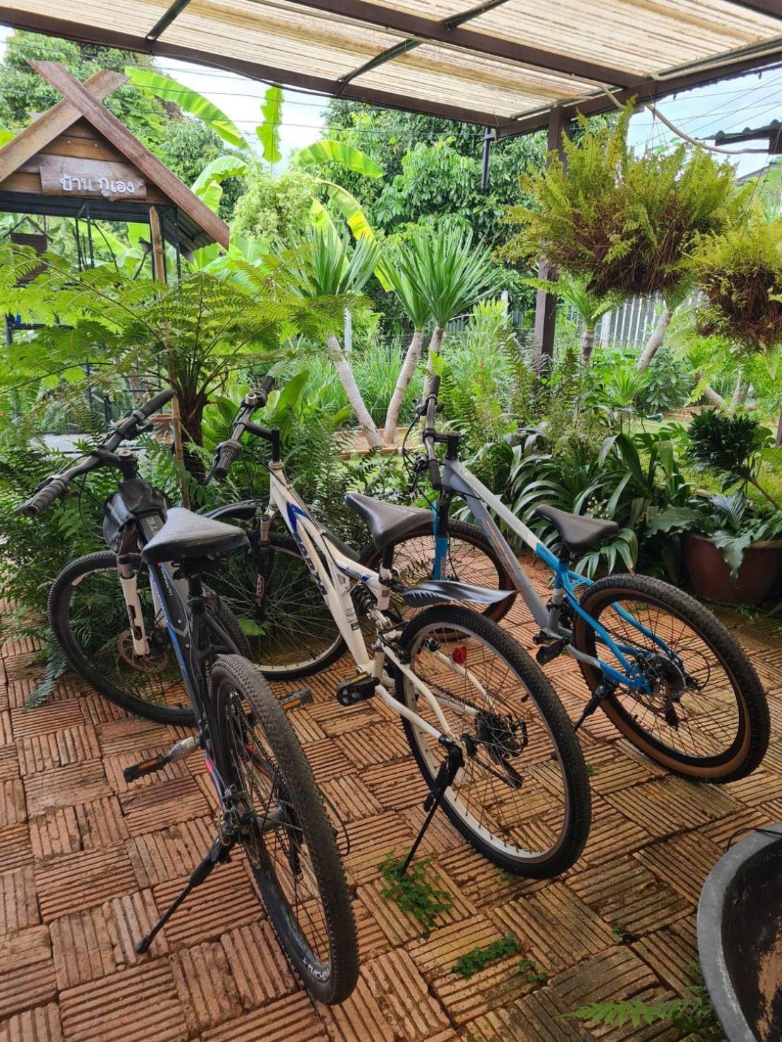 North Pine Forest Homestay บ้านไม้สนโฮมสเตย์ Ban Mae Pong Zewnętrze zdjęcie